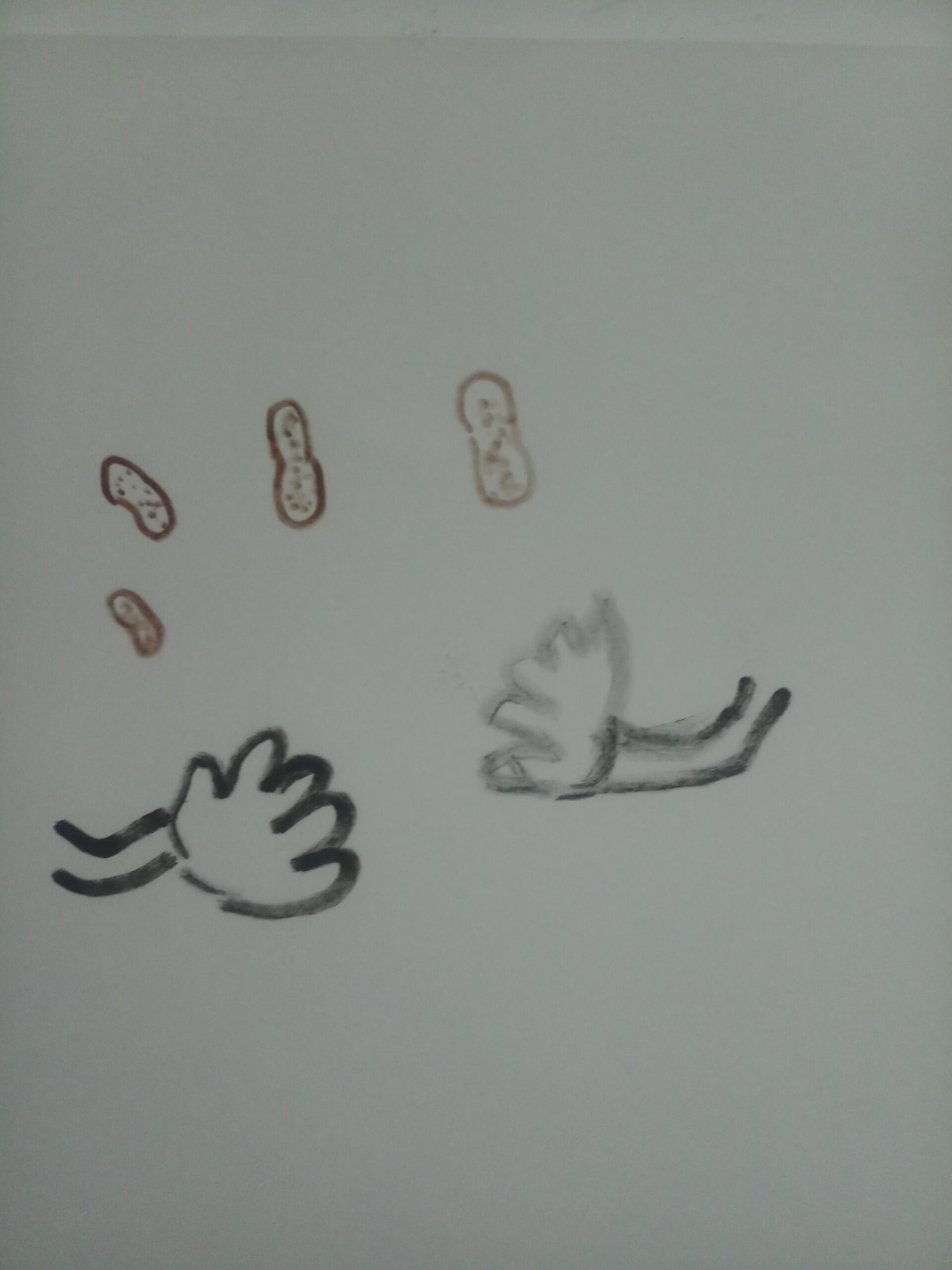 Post on When its raining peanuts