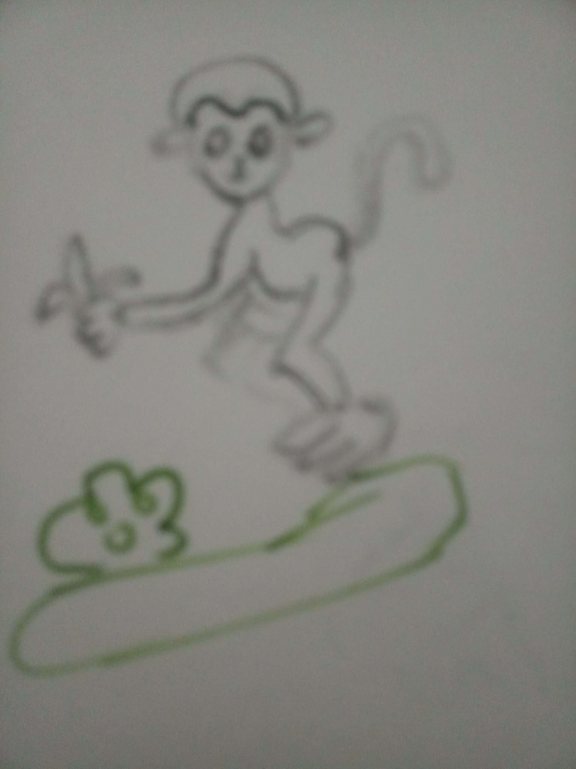 Drawing of monkey