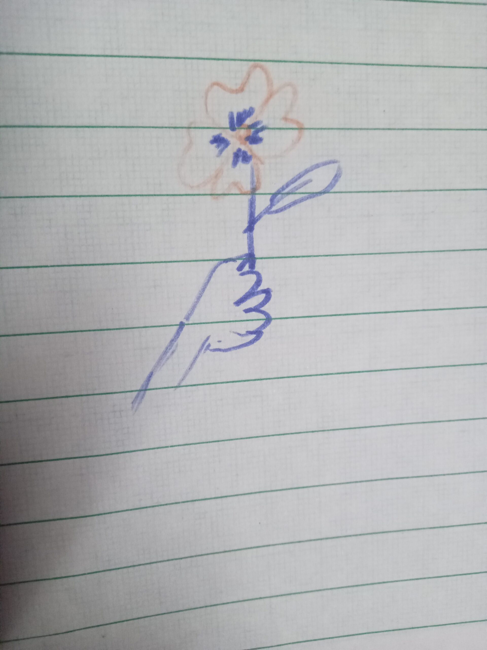 This is the compliment